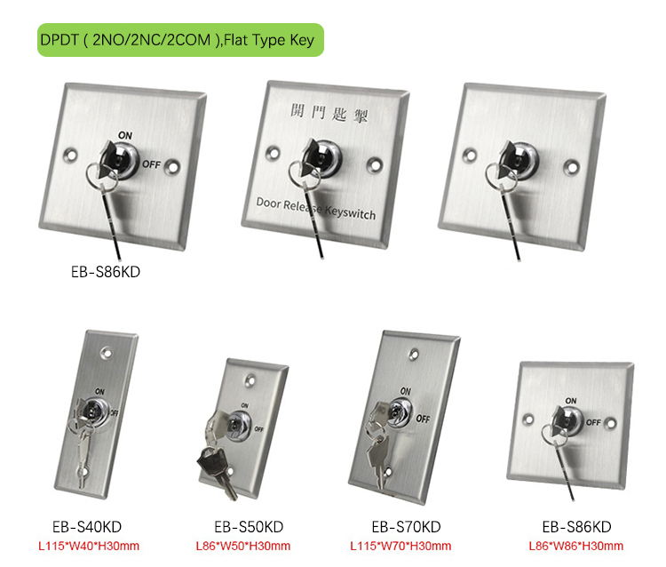 DPDT Stainless Steel Door Release Exit Switch with Flat Type Key.jpg