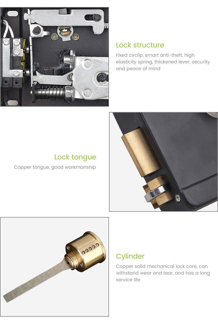 Electric RIM Lock (2).jpg