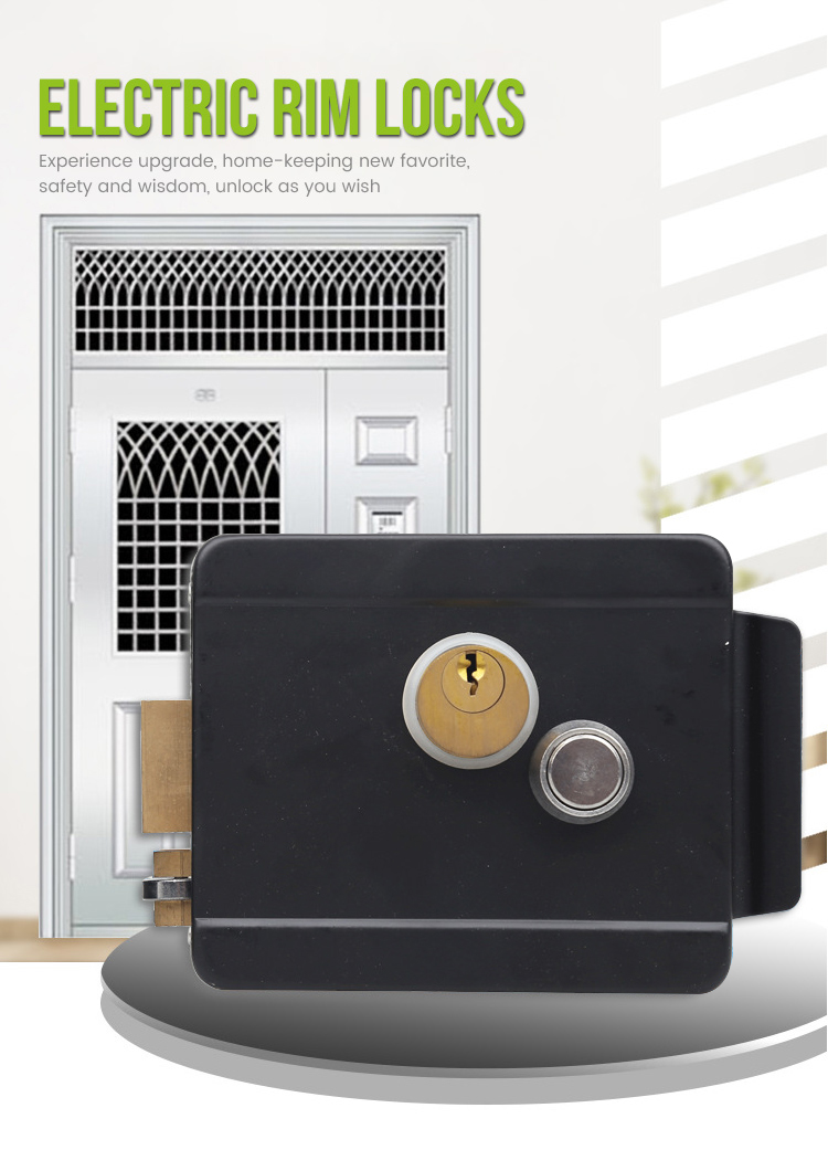 Electric RIM Lock (1).jpg