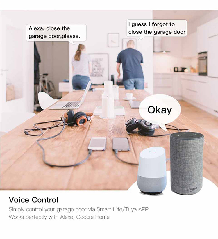 WiFi Garage Door Opener Controller (3).jpg