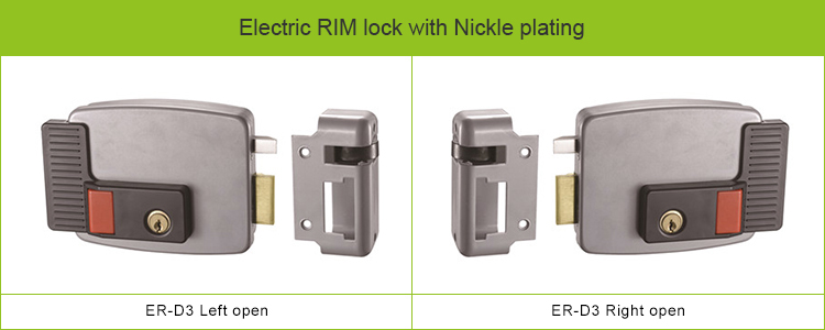 Electric RIM lock (1).jpg